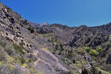 Olympus Tepesi yürüyüş yolu, Utah 'taki Salt Lake City yakınlarındaki Bonneville Shoreline, Wasatch Front Rocky Dağları üzerinden baharı gösteriyor. Birleşik Devletler. ABD