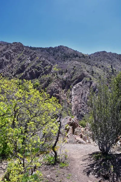 由犹他州盐湖城 Salt Lake City 通过瓦萨奇前落基山脉 Wasatch Front Rocky Mountains 的博纳维尔海岸 — 图库照片