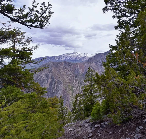 Lone Peak Krajina Pohled Pramen Mount Mahogany Stezka Wasatch Front — Stock fotografie