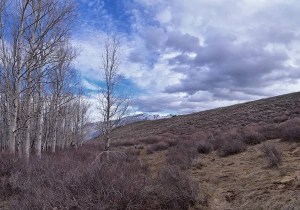 Lone Peak Landschaft Blick Frühling Von Mount Mahogany Trail Wasatch — Stockfoto