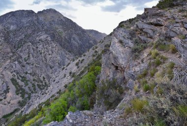Rocky Dağları Wasatch Cephesi manzarası Timpanogos Dağı 'nın eteklerini, Mahogany Dağı doğa yürüyüşü patikasını, Orem ve Provo, Utah' ın. Birleşik Devletler. ABD.
