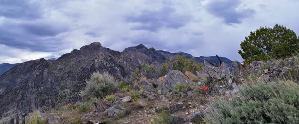 Rocky Mountains Wasatch Μπροστινό Τοπίο Βλέπει Τους Πρόποδες Του Όρους — Φωτογραφία Αρχείου