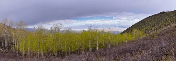 프런트 Wasatch Front 풍경은 팀파노 구릉지를 보여준다 — 스톡 사진