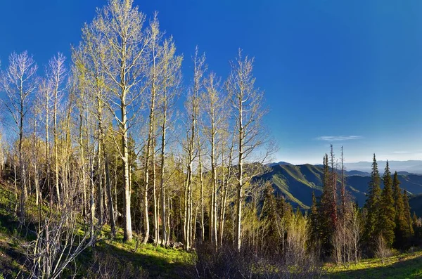 Lowe Peak Widoki Oquirrh Zakres Kierunku Salt Lake Valley Przez — Zdjęcie stockowe