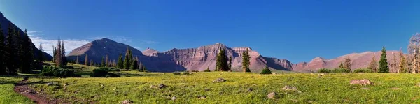 Kings Peak Panoramic Vista Views Uintah Rocky Mountains Henrys Fork — стокове фото