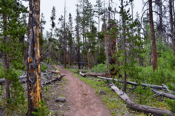 Henrys Fork Hiking Trail View Kings Peak Uintah Rocky Mountains — Stock Photo, Image