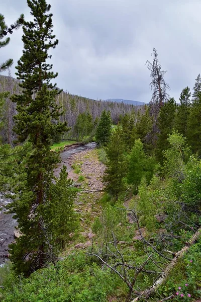 Henrys Fork Sendero Vista Hacia Kings Peak Uintah Rocky Mountains —  Fotos de Stock