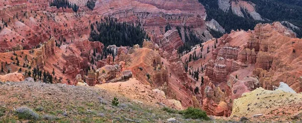 Cedar Breaks National Monument Views Hiking Trail Brian Head Cedar — стокове фото