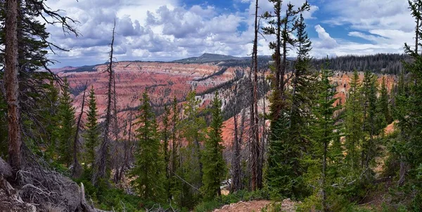 Вид Национальный Памятник Cedar Breaks Пешеходной Тропы Возле Брайан Хеда — стоковое фото