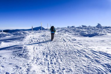 Bir kayakçının keşif gezisi, dağ yolunda kayakçılar, karlı bir arazi. Güzel, güneşli ve soğuk bir günde kış.. 
