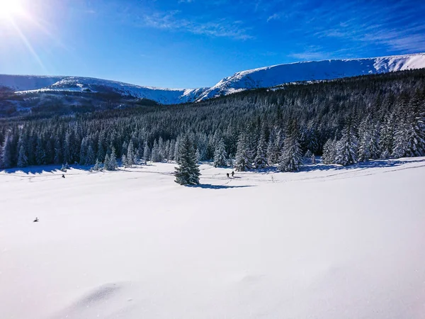 Terra Nevada Inverno Belo Dia Ensolarado Frio — Fotografia de Stock