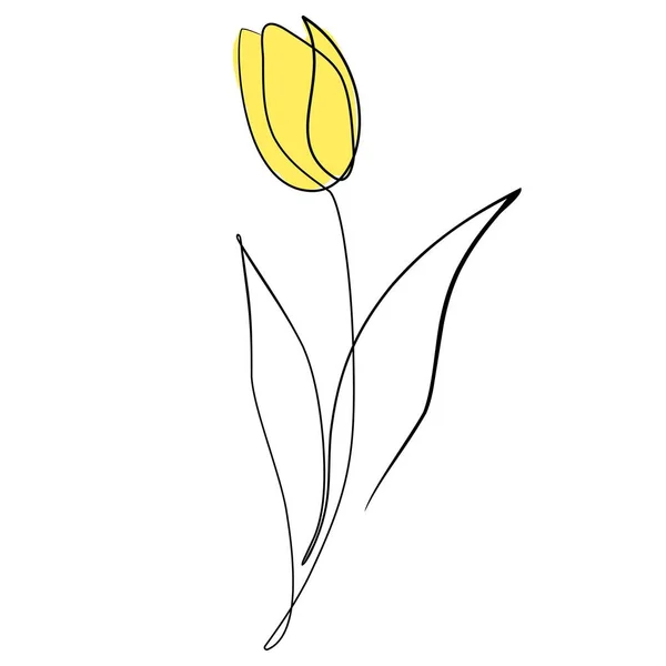 Dibujo Tulipán Hecho Con Una Línea Dibujo Tulipán Hecho Con — Archivo Imágenes Vectoriales