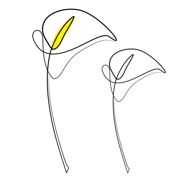 Calla Lily Flower Line Drawing Print Botanical Wall Decor Calla — 스톡 벡터