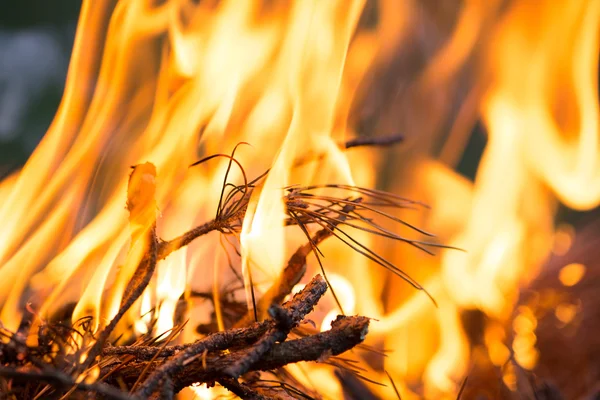 Brasa, brinnande grenar, macor eld och rök, närbild — Stockfoto