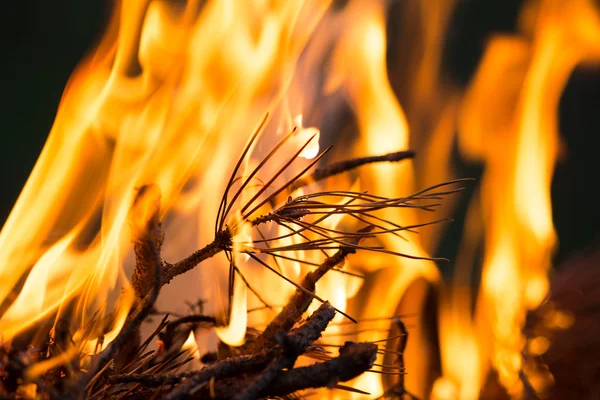 Fogueira, galhos em chamas, fogo de macor e fumaça, close-up — Fotografia de Stock