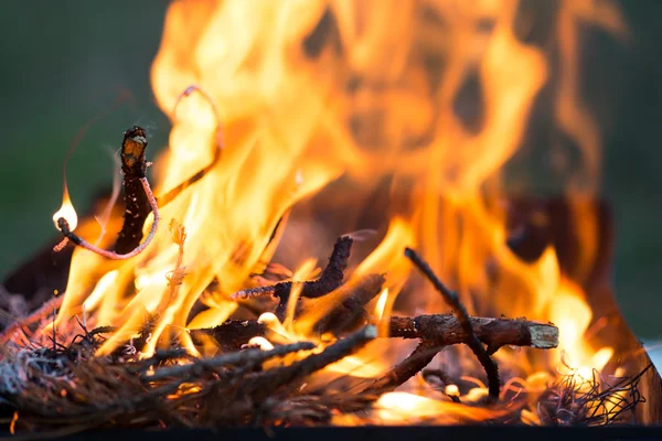 Brasa, brinnande grenar, macor eld och rök, närbild — Stockfoto