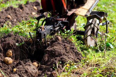 Patates toplama mini traktörler pulluk