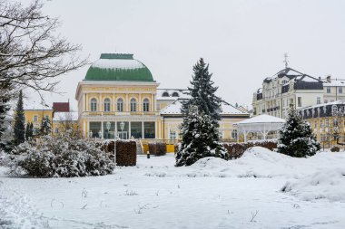Çek Cumhuriyeti 'nin (Karlovy Vary bölgesi) batı kesimindeki Frantiskovy Lazne (Franzensbad) küçük spa kasabasının merkezi)
