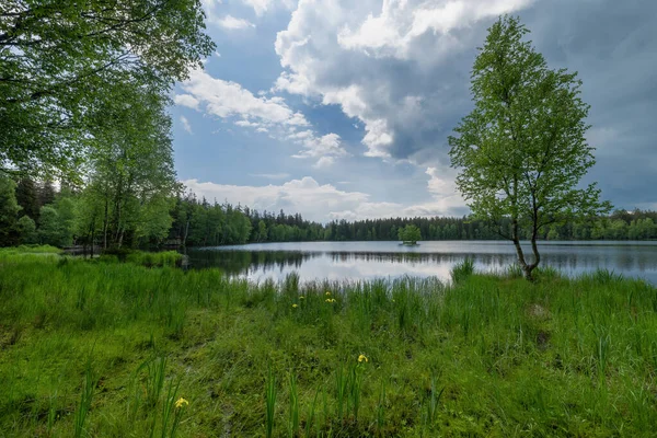 Nature trail - nature reserve Kladska Glatzen peat bogs - Kladska peat bogs are a unique set of mountain peat bogs at altitudes from 800 to 930 m, with a total area of almost 300 ha. - Czech Republic.