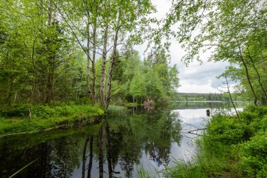Eğitim Patikası Kladska (Glatzen) - Karlovy Vary bölgesinin en eski ve en büyük doğa rezervlerinden biri ve Korunmuş Peyzaj Bölgesi Slavkovsky Ormanı 'nın en değerli parçası-