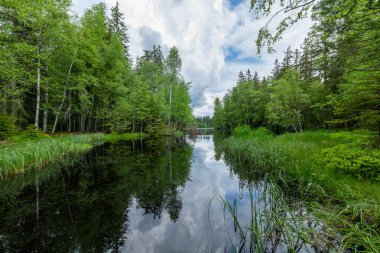 Eğitim Patikası Kladska (Glatzen) - Karlovy Vary bölgesinin en eski ve en büyük doğa rezervlerinden biri ve Korunmuş Peyzaj Bölgesi Slavkovsky Ormanı 'nın en değerli parçası-