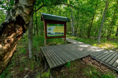 Ulusal Doğa Koruma Alanında Eğitim Yolu - Çek 