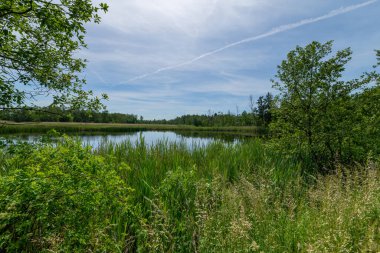 Ulusal Doğa Koruma Alanında Eğitim Yolu - Çek 