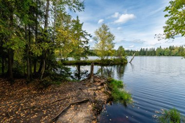 Eğitim Patikası Kladska (Glatzen) - Karlovy Vary bölgesinin en eski ve en büyük doğa rezervlerinden biri ve Korunmuş Manzara Bölgesi Slavkovsky Ormanı 'nın en değerli parçasıdır.