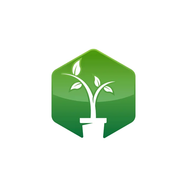 Imagem Projeto Vetor Logotipo Paisagem Lanscaping Logotipo Com Crescimento Planta — Vetor de Stock