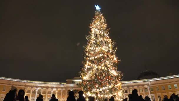 Menigten van mensen lopen en nemen foto 's op het Paleis plein in de buurt van de feestelijke dennenboom in het centrum van St. Petersburg. Rusland, ST. PETERSBURG, DECEMBER 26, 2020 — Stockvideo