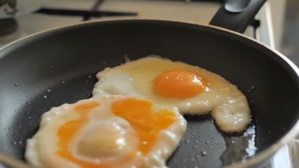 現代のフライパンで新鮮な鶏の卵をストーブの上で調理する — ストック動画