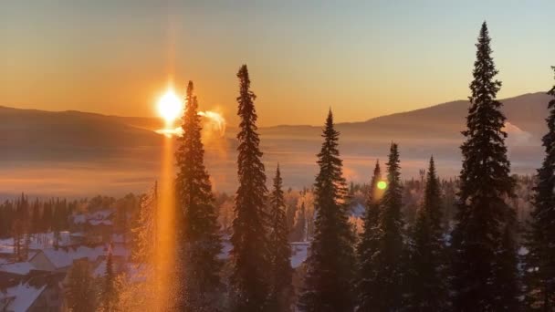 En fantastisk utsikt över vintern gryningen i bergen, strålar solen vackert skimrar i toppen av granar på en frostig morgon — Stockvideo