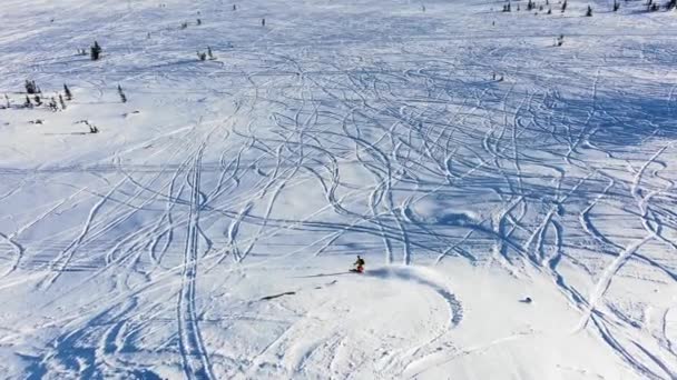 Freerider sciatore rotola attraverso un campo di neve in montagna ad alta velocità, vista aerea. — Video Stock