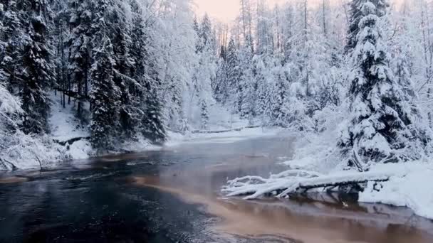 Voando sobre uma floresta rodopiando rio com pequenas corredeiras no meio de uma fabulosa floresta de inverno na neve em um parque natural equipado. — Vídeo de Stock