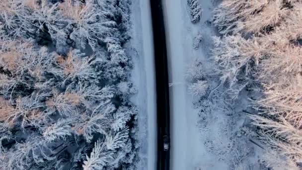 Luftaufnahme eines Autos auf einer Straße in einem schneebedeckten Nadelwald an einem sonnigen frostigen Tag — Stockvideo