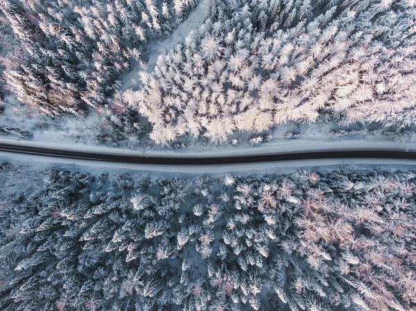 冬季森林中公路的鸟瞰全景 — 图库照片