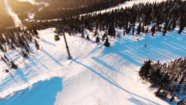 Declives nevados com pinheiros pistas de esqui e teleférico — Vídeo de Stock