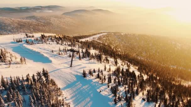 Горные склоны с сосновыми и лыжными трассами с подъемником — стоковое видео