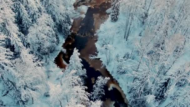 Estrecho río con hielo corre a través del maravilloso bosque de invierno — Vídeo de stock