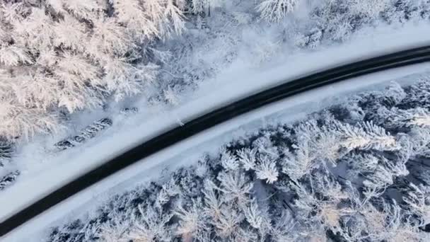 Carretera negra vacía a través de un tranquilo bosque de invierno nevado — Vídeos de Stock