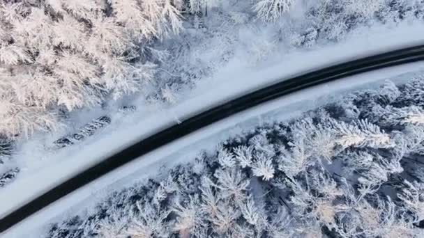 Empty black highway across tranquil snowy winter forest — Stock Video