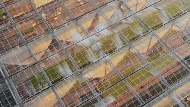 Прозорі будівлі обладнаних теплиць з рослинами — стокове відео