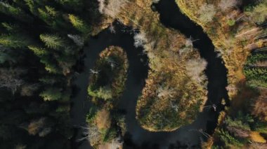 Sonbahar günü ormanda nehir kıvrımının üzerinde kamera yükselir.