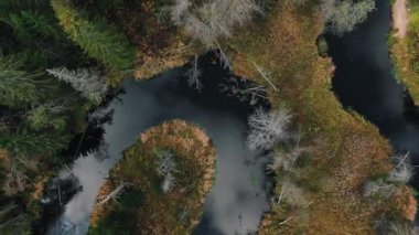 Kamera, yüksek ağaçlı, kıvrımlı nehrin üzerinde yükseliyor.