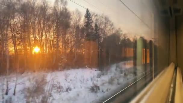 Güneş, kışın ağaçların arkasında parlıyor. Tren penceresinden görülüyor. — Stok video
