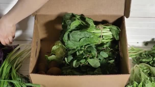 A nő friss zöldségeket tesz a kartondobozba. — Stock videók