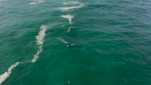 Surfer żagle leżące na pokładzie na oceanie z falami widok z góry — Wideo stockowe