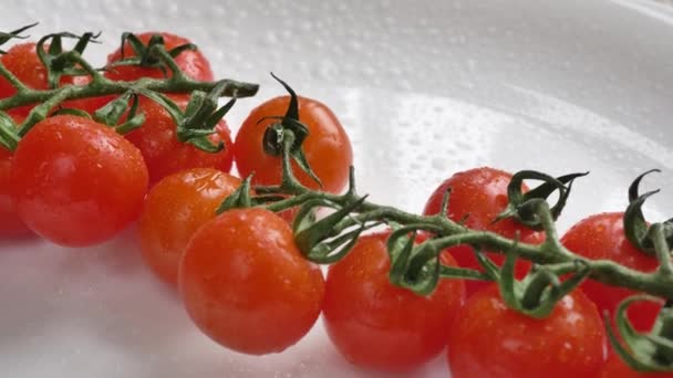 Mouvement le long de tomates fraîches propres cultivées en rouge sur la branche — Video