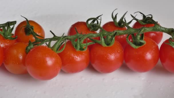 Movimiento a lo largo de limpio tomates rojos cultivados en rama — Vídeos de Stock