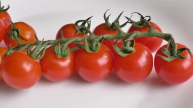 Dal üzerinde taze taze kırmızı domatesler